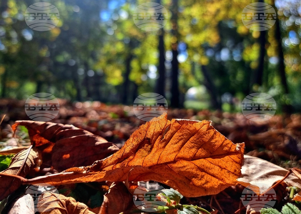 Астрономическа есен - есенни багри