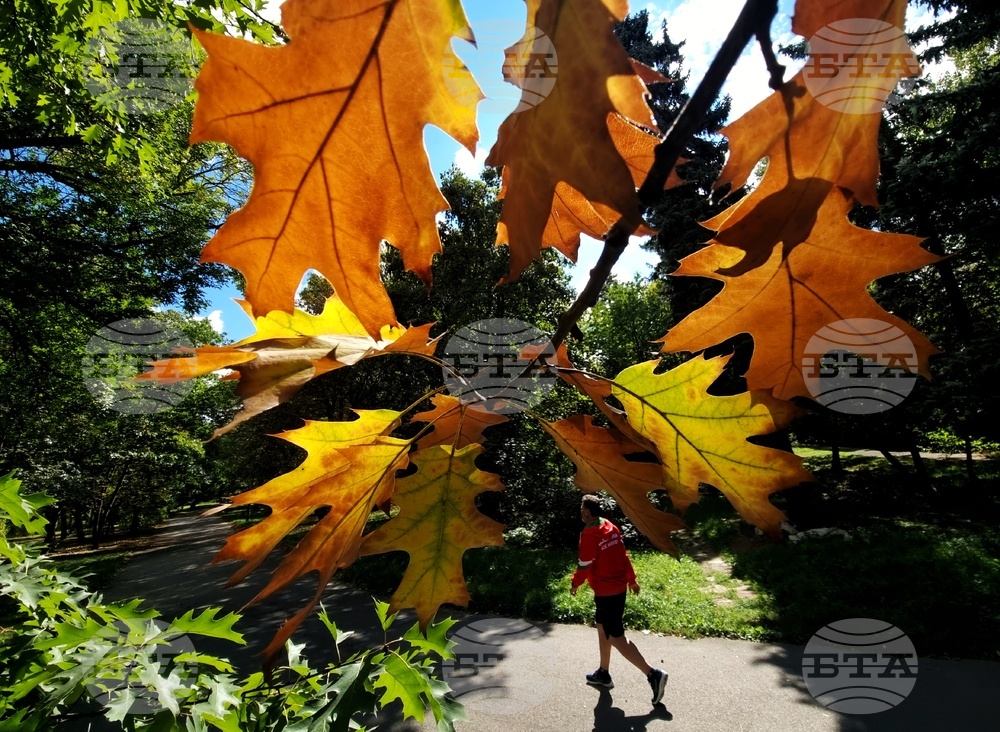 Астрономическата есен започва днес у нас в 21 часа и 19 минути