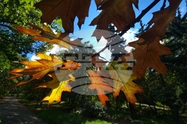 Астрономическа есен - есенни багри