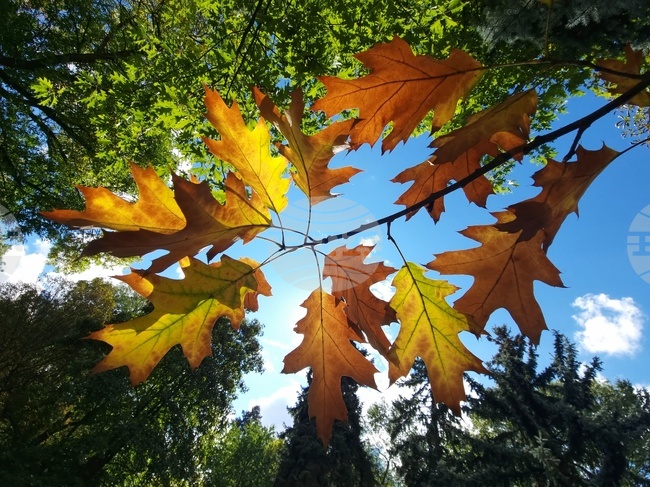 Астрономическа есен - есенни багри