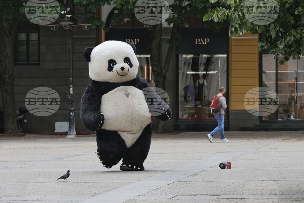 Ежедневие - уличен артист