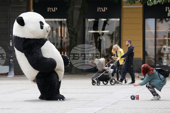 Ежедневие - уличен артист