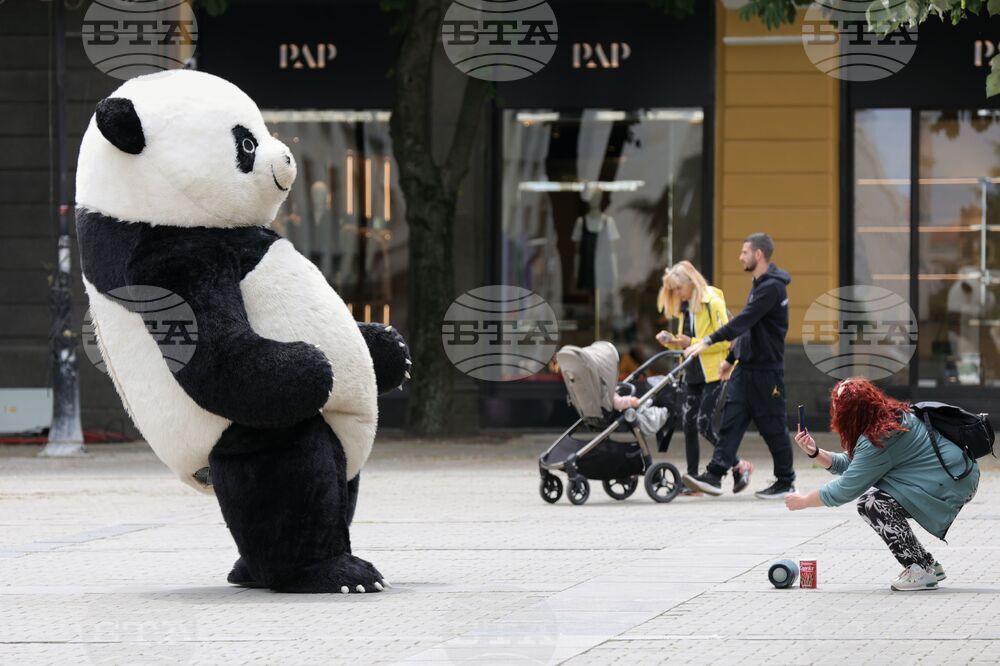 Ежедневие - уличен артист