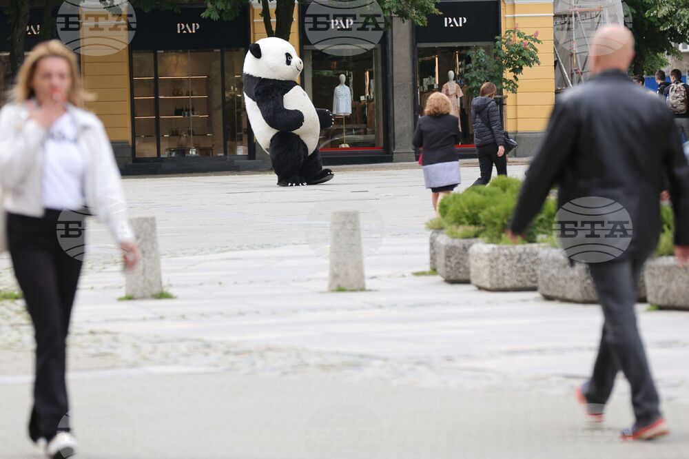 Ежедневие - уличен артист