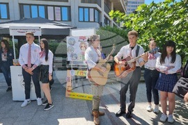 Видин - Панорама на средното образование