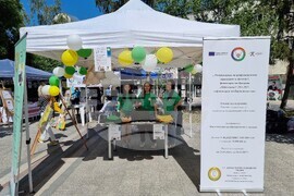 Видин - Панорама на средното образование