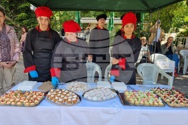 Видин - Панорама на средното образование