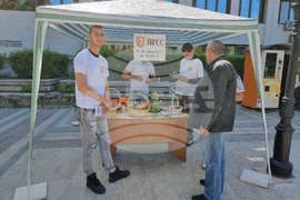 Видин - Панорама на средното образование