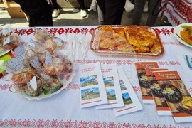 Видин - Панорама на средното образование