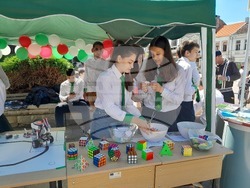 Снимка: Община Видин