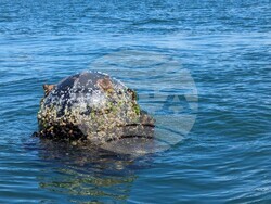 Снимка: Министерство на отбраната