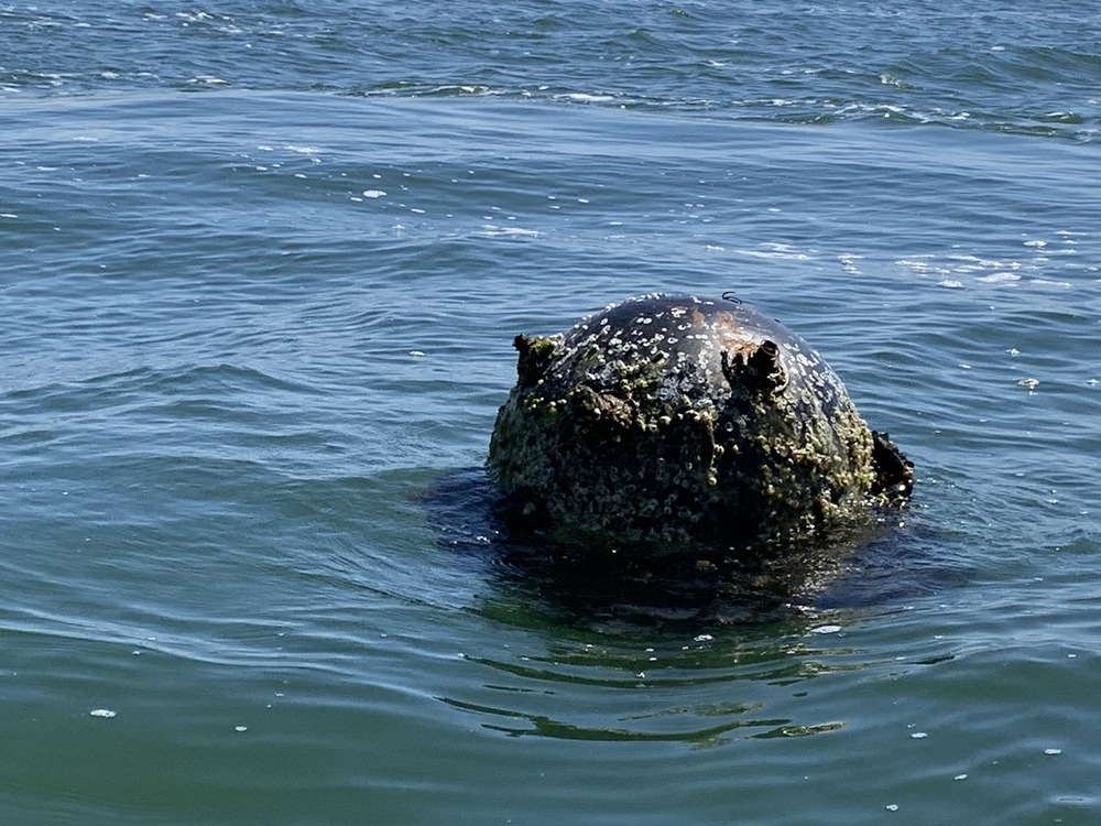 Военнослужещи от Военноморските сили унищожиха морска мина