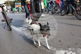Велопоход - Happy Biking - Healthy Living