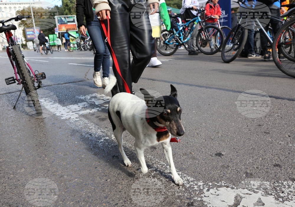 Велопоход - Happy Biking - Healthy Living
