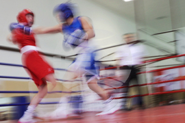 Бокс - купа Балкан 