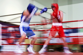 Бокс - купа Балкан 