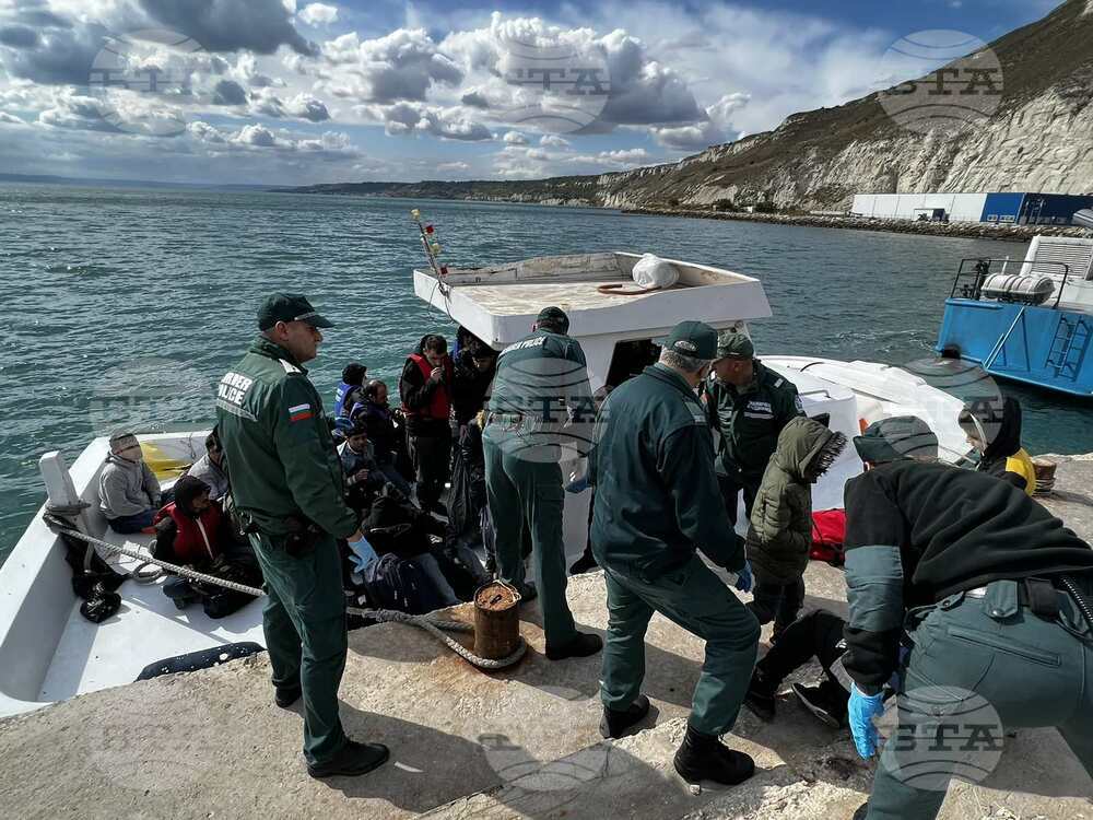Sensible Policy Could Halve Number of Illegal Migrants in EU - Expert