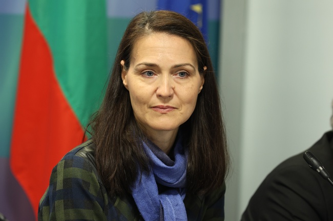 Frequent Cabinet Changes in Bulgaria Impede Industry's Handling Green, Digital Transition, Experts Find