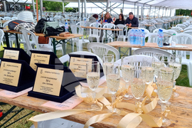 Търговище - церемония - Златни младоженци