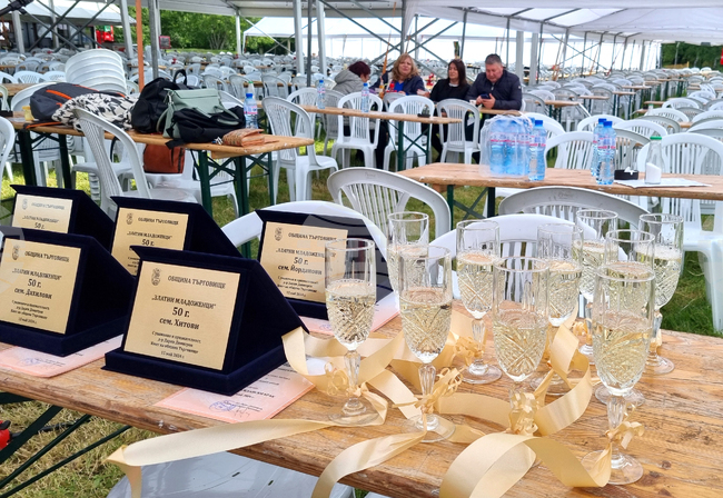 Удължават срока за записване за участие в инициативата „Златни младоженци“ в Търговище