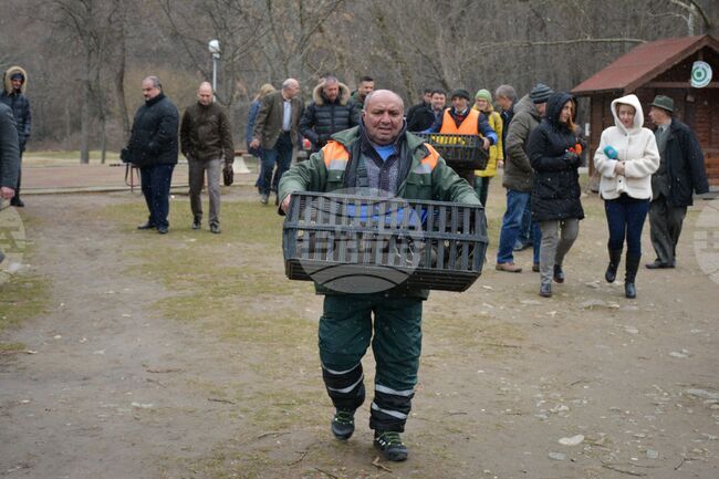 Благоевград - парк - езеро - патици 