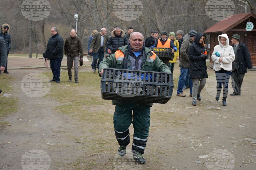 Благоевград - парк - езеро - патици