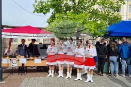 Търговище - образование - регионална панорама