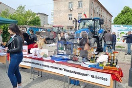 Търговище - образование - регионална панорама