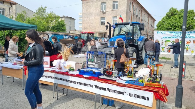 На националното външно оценяванe седмокласниците от област Търговище показват по-добри резултати спрямо миналата година