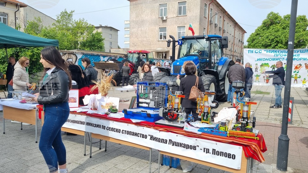 Търговище - образование - регионална панорама