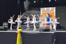 Плевен - празник - честване