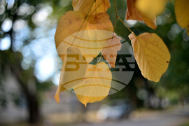 Разград - есен