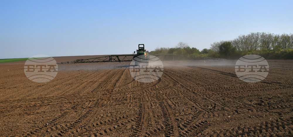 Село Китанчево - работа на полето