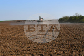 Село Китанчево - работа на полето