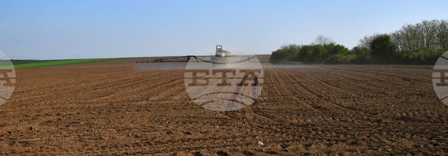 Окончателният размер на плащането по интервенцията "Основно подпомагане на доходите за устойчивост" е 199,30 лева на хектар, съобщи МЗХ