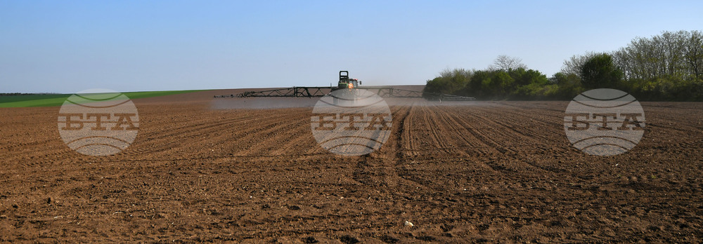 Село Китанчево - работа на полето