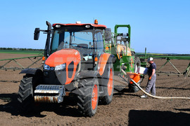 Село Китанчево - работа на полето