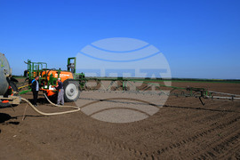 Село Китанчево - работа на полето