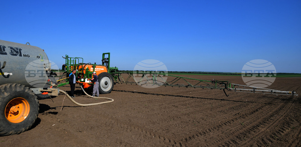 Село Китанчево - работа на полето