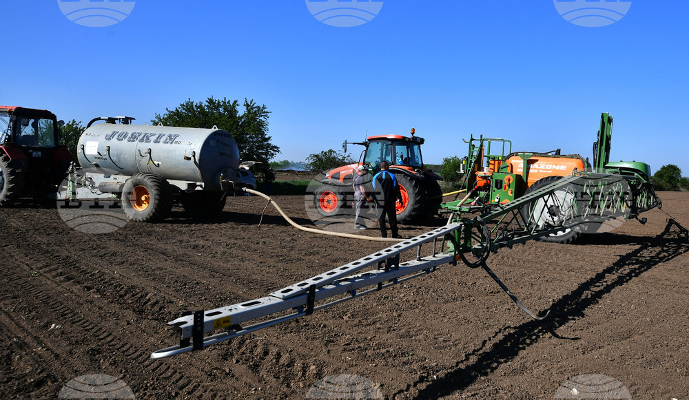 Село Китанчево - работа на полето