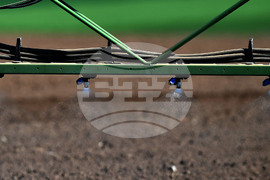 Село Китанчево - работа на полето