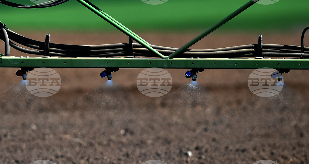 Село Китанчево - работа на полето