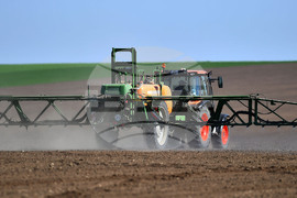 Село Китанчево - работа на полето