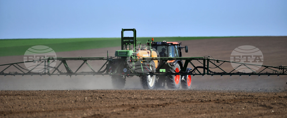Село Китанчево - работа на полето