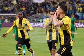 Футбол - Лудогорец - Ботев (Пловдив) - финал за купата на България