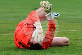 Футбол - Лудогорец - Ботев (Пловдив) - финал за купата на България