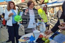 Троян - Български фестивал на сливата