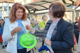 Троян - Български фестивал на сливата