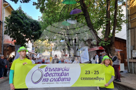 Троян - Български фестивал на сливата