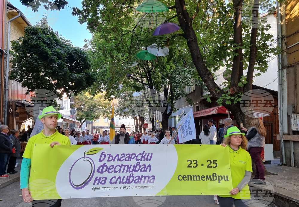 Троян - Български фестивал на сливата
